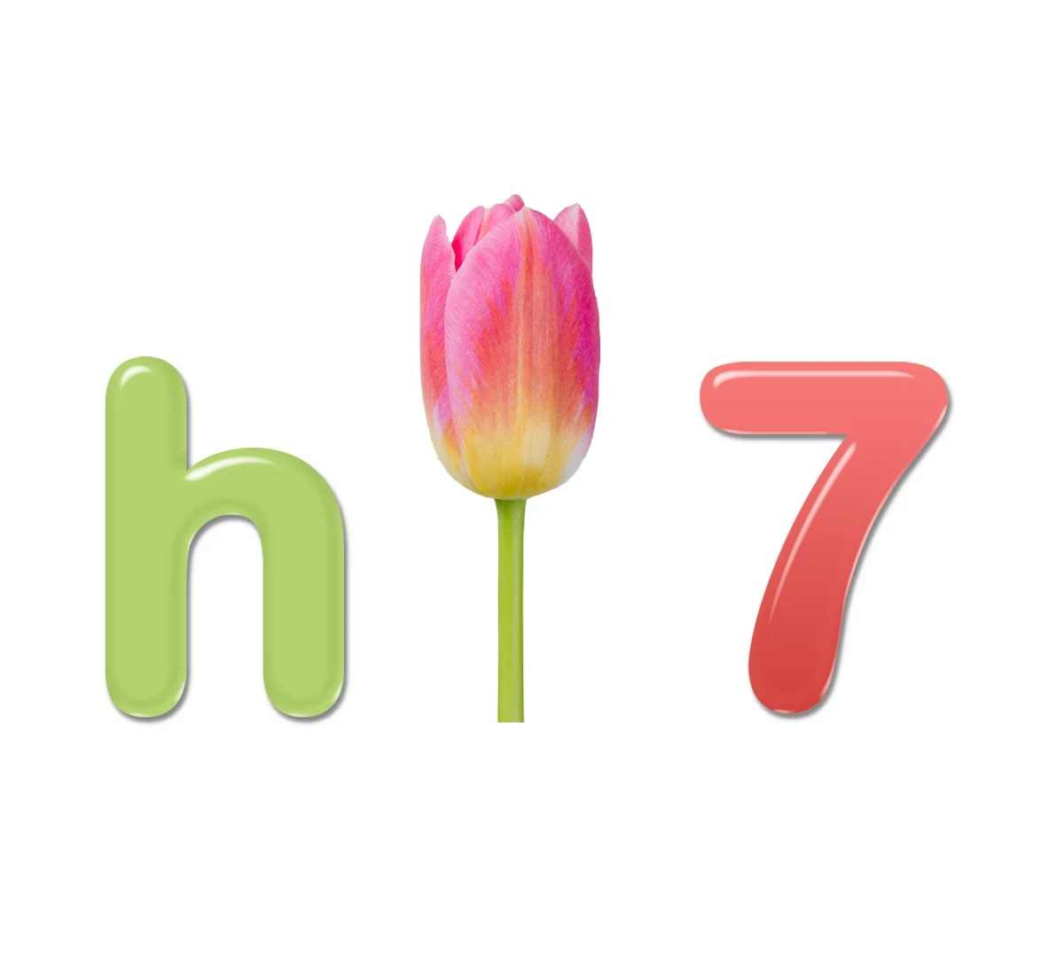 Hi7 Logo